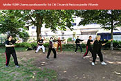 TAI CHI CHUAN à Paris au jardin Villemin sous la direction technique de Maître Yuan Zumou.